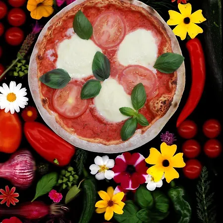 Vendégház L'art 4*