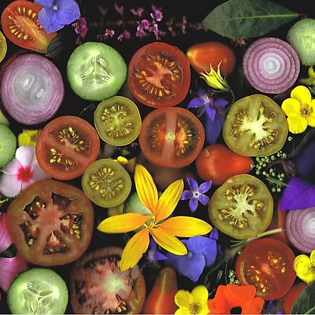 L'art Gæstehus Erfurt