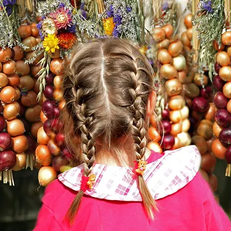 L'art Maison d'hôtes 4*