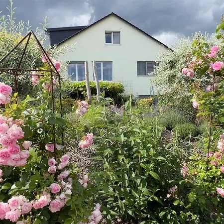 Guest house L'art *