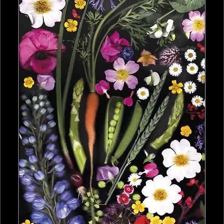 L'art Gæstehus Erfurt