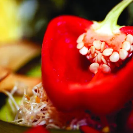 Maison d'hôtes L'art