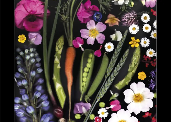 L'art Guest house Erfurt